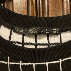 Zara Knit sweater.  Soft and lightweight.